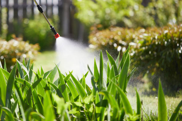 24/7 Emergency Wasp Removal experts in St. Marys, OH