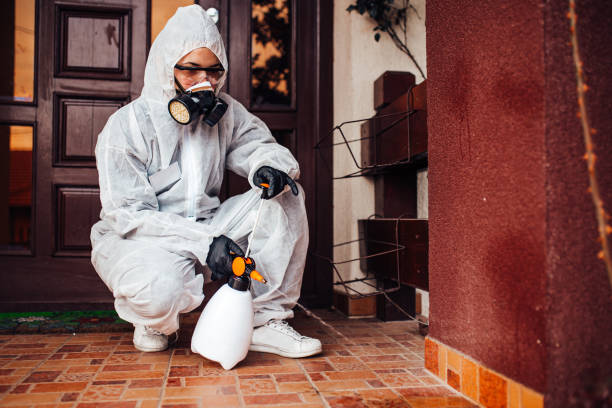 Reliable Wasp Removal contractor in St. Marys, OH by Show Me Pest Control