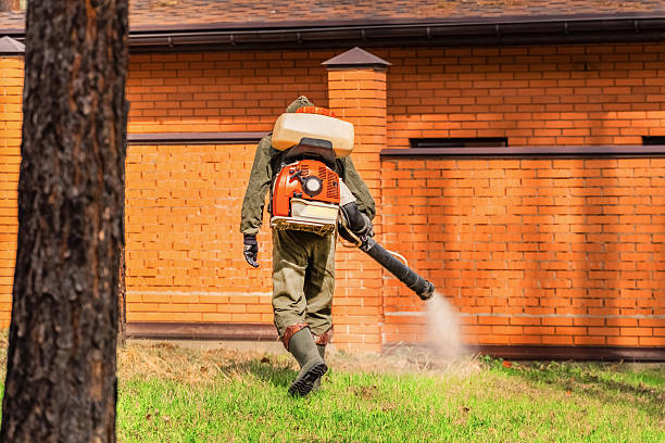Top rated local Wasp Removal specialists in St. Marys, OH